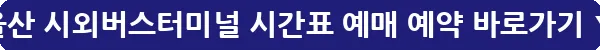 울산 시외버스터미널 시간표 예매 예약_22