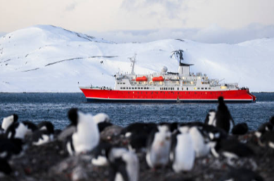 남극 쇄빙선 여행의 매력