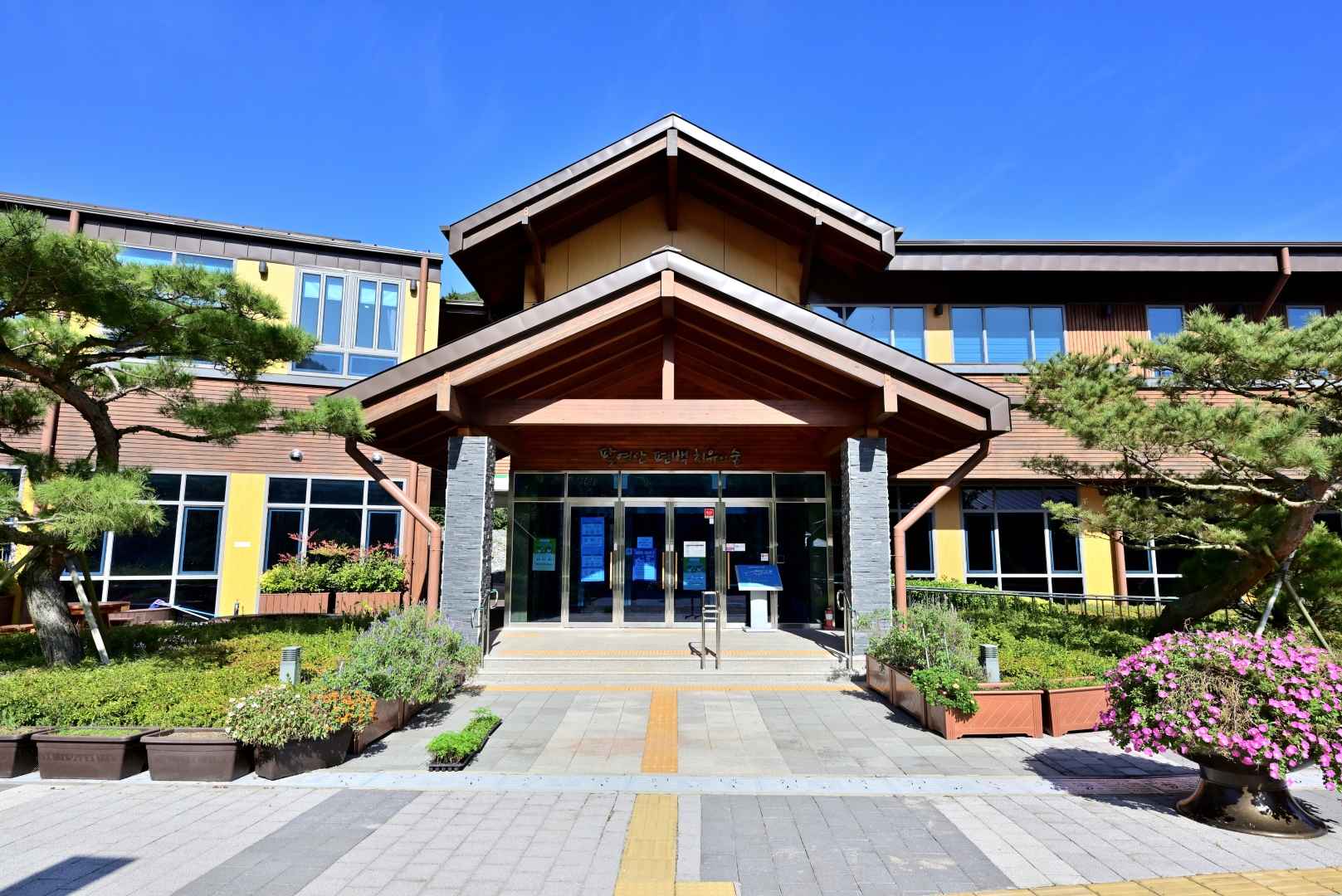 팔영산 편백치유의숲