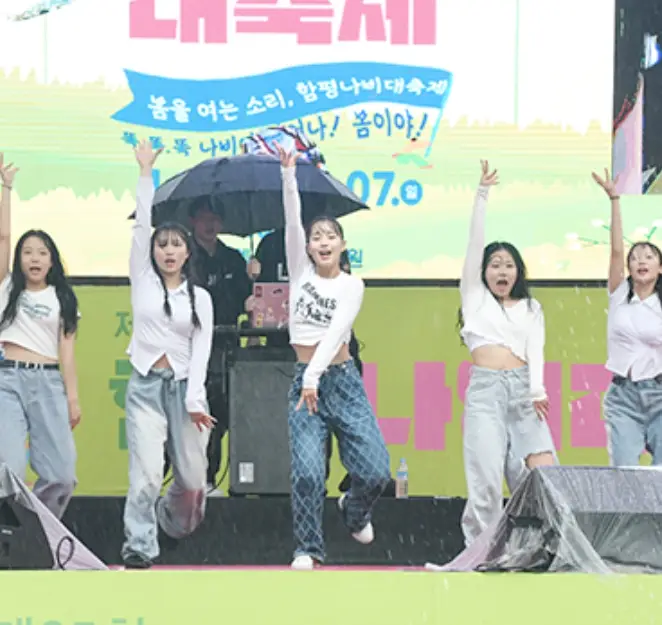 함평나비축제 기간&#44; 주차장&#44; 행사내용