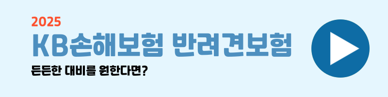 강아지 보험 비교 설명 이미지