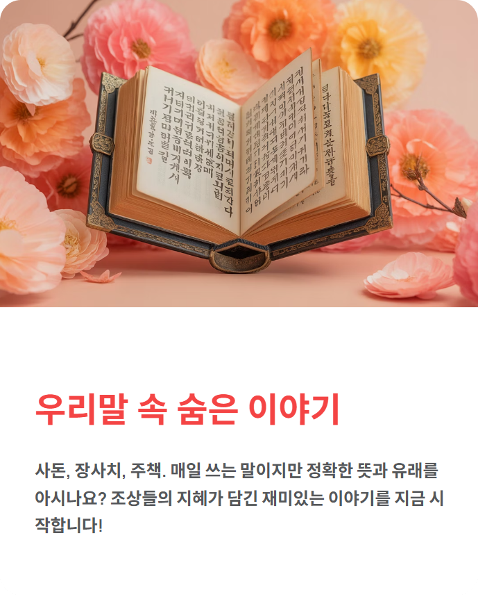 사돈·장사치·주책 뜻과 유래! 몰랐던 우리말의 재미있는 이야기