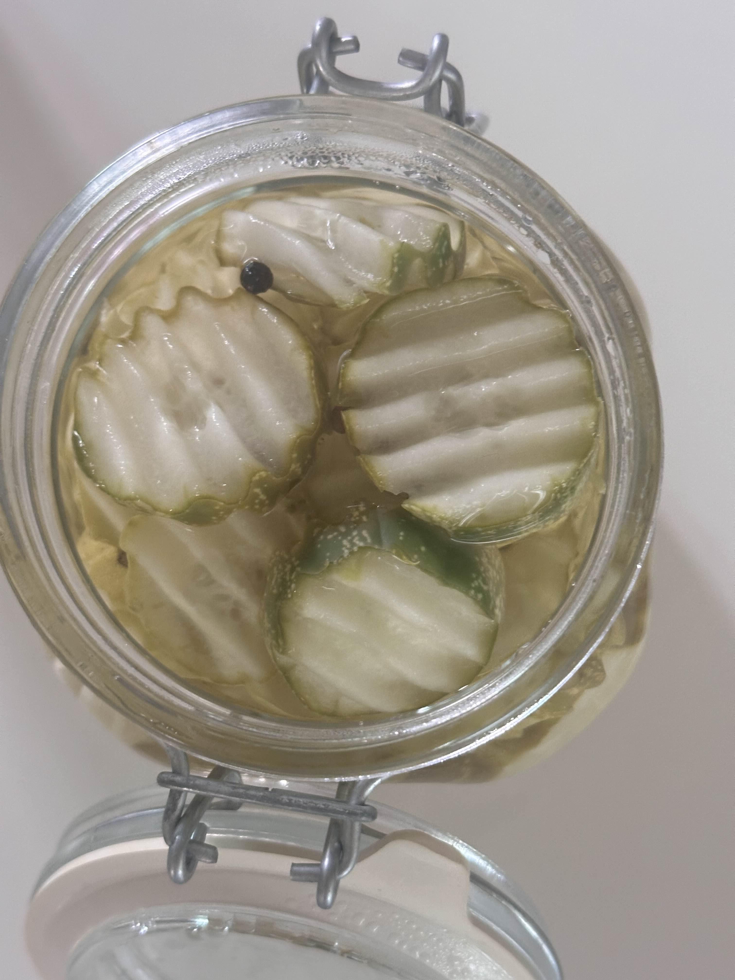 유리병에 담긴 오이피클을 숙성시키는 모습