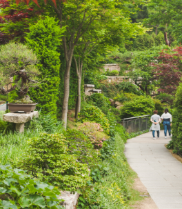 화담숲 예약 모노레일 예약 관람방법