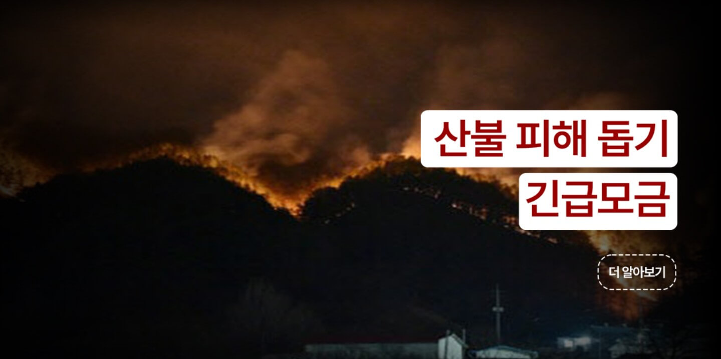 산불 대한적십자사 기부 방법