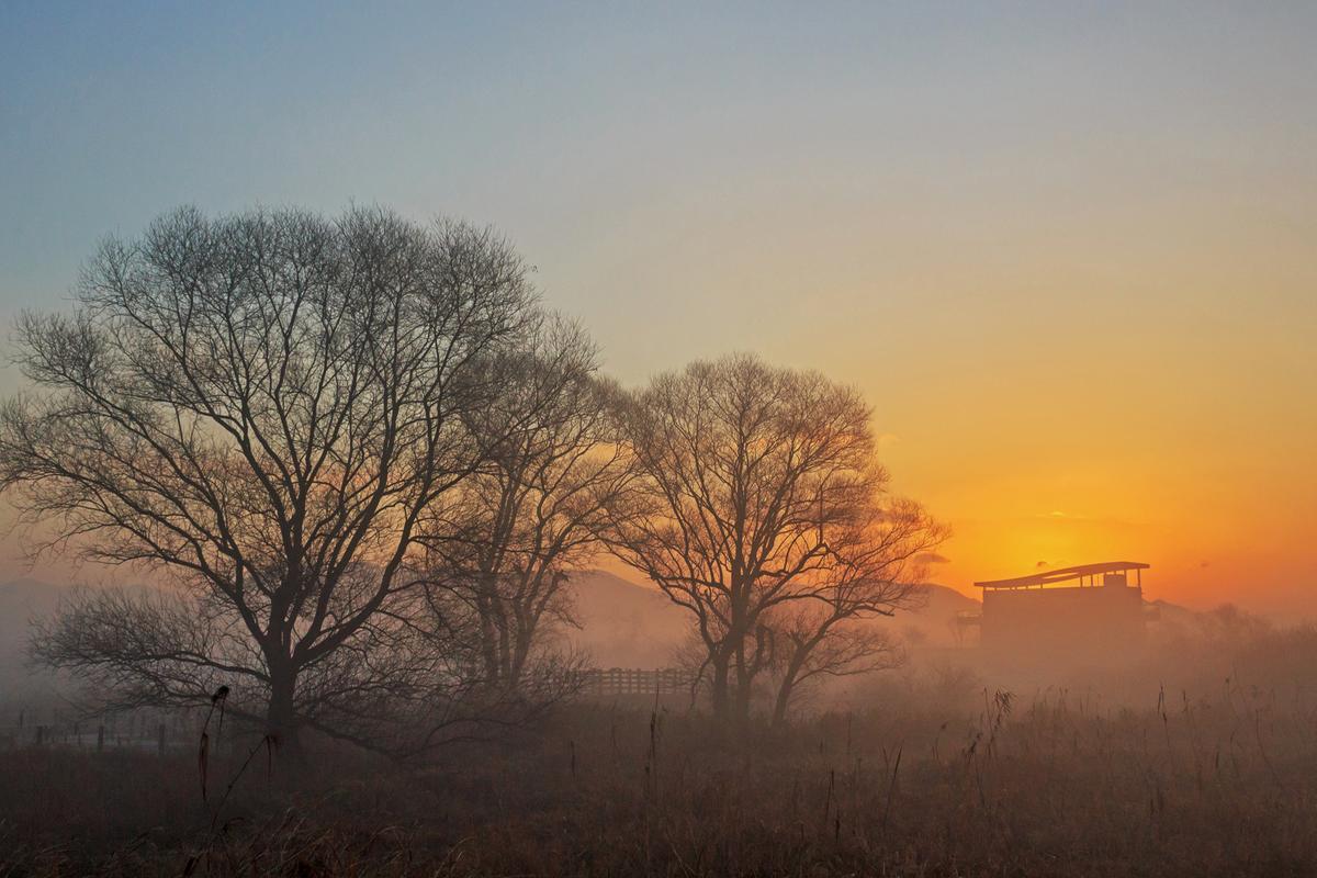 화포천습지의 일출명소