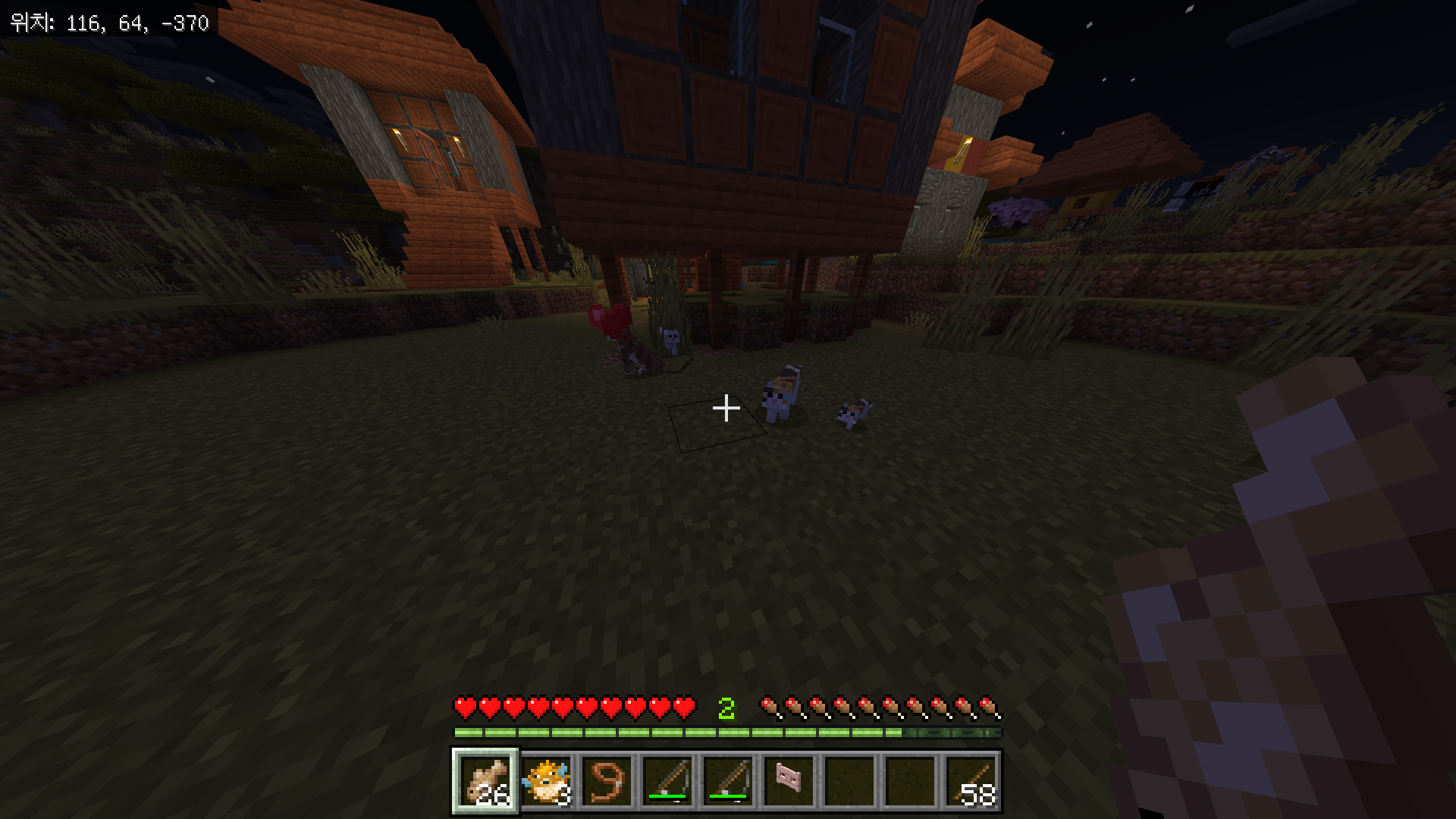 고양이를 찾고 길들이는 방법