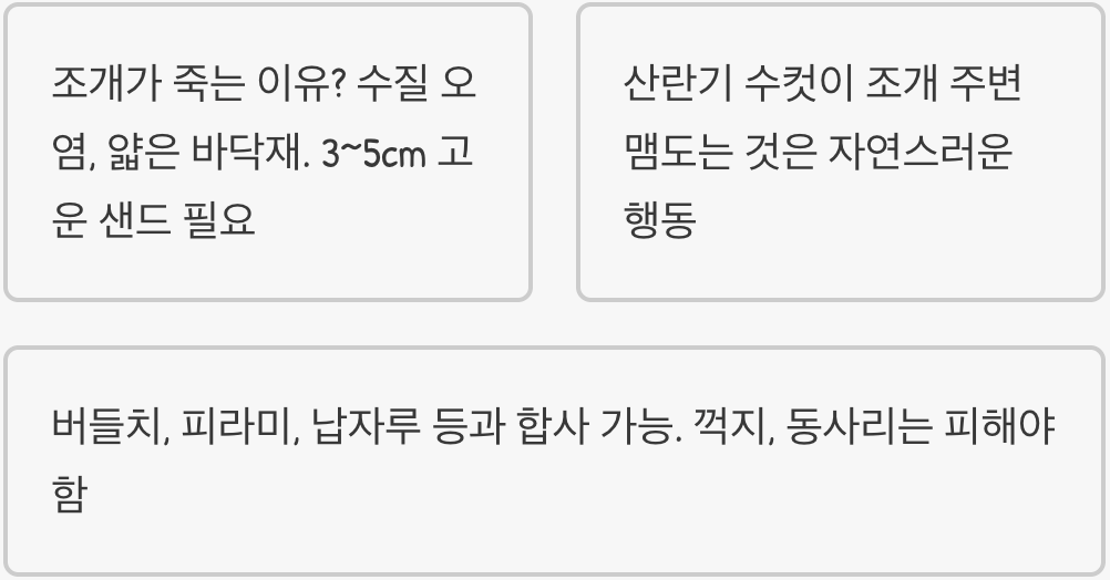 초보자가 각시붕어 키울 때 가장 많이 하는 실수 5가지