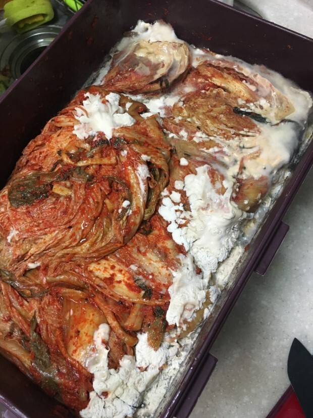 김치의 하얀 알갱이 '골마지'는 어떻게 생기나요?