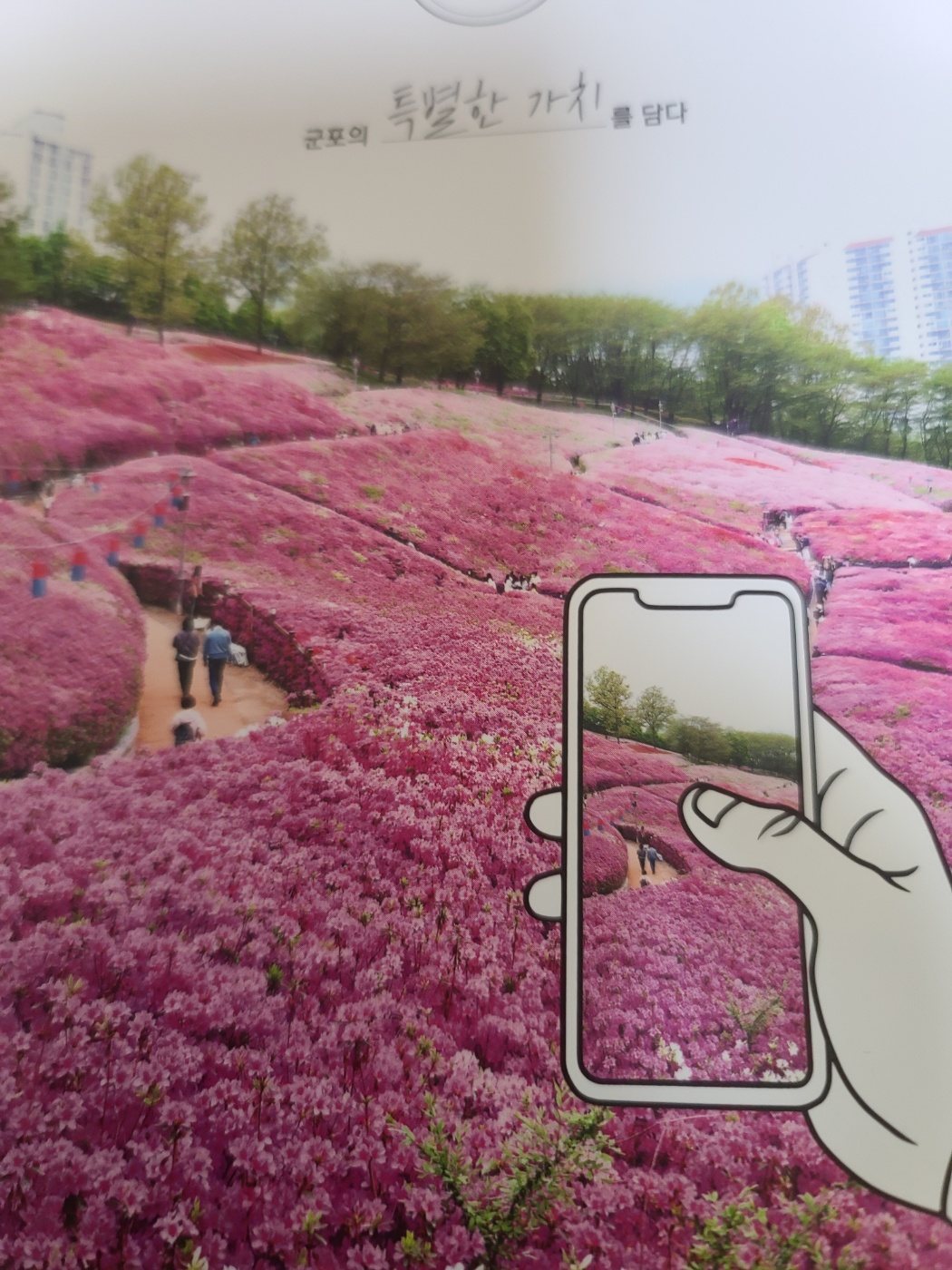 군포철쭉축제