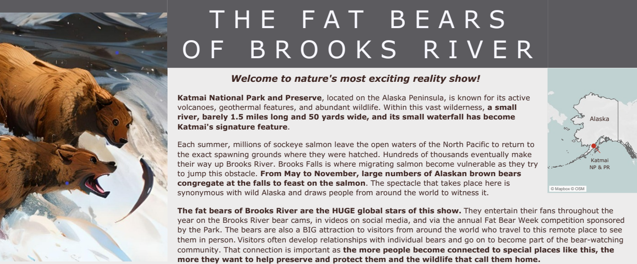 The bears of brooks river