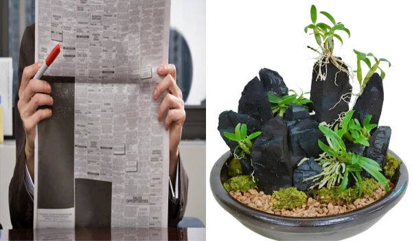 신문지와 숯을 활용한 습기제거