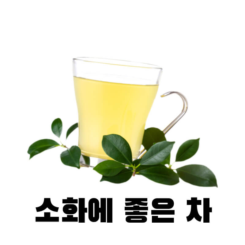 소화에 좋은 차