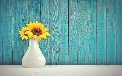 생활 속 전자레인지에 숨겨진 과학비밀