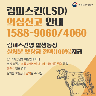 알트태그-럼피스킨병 신고처 안내