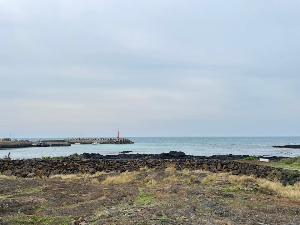 제주도-렌트카-예약-방법