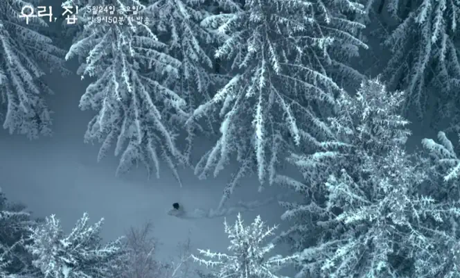 우리집 촬영지 산