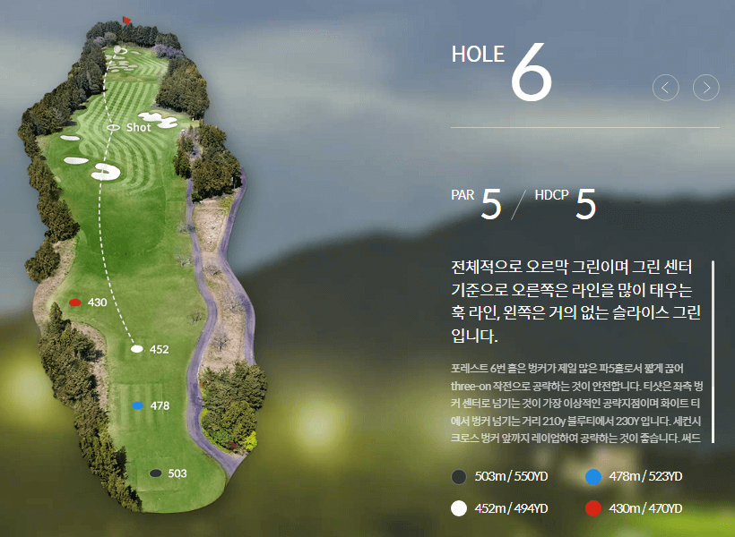 롯데스카이힐제주 컨트리클럽 포레스트코스 6