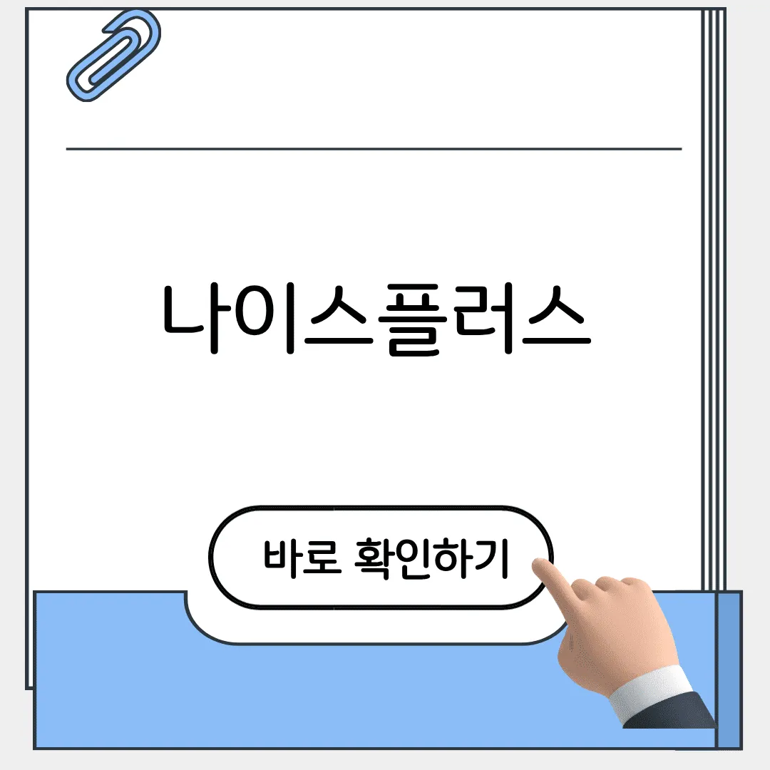 나이스플러스