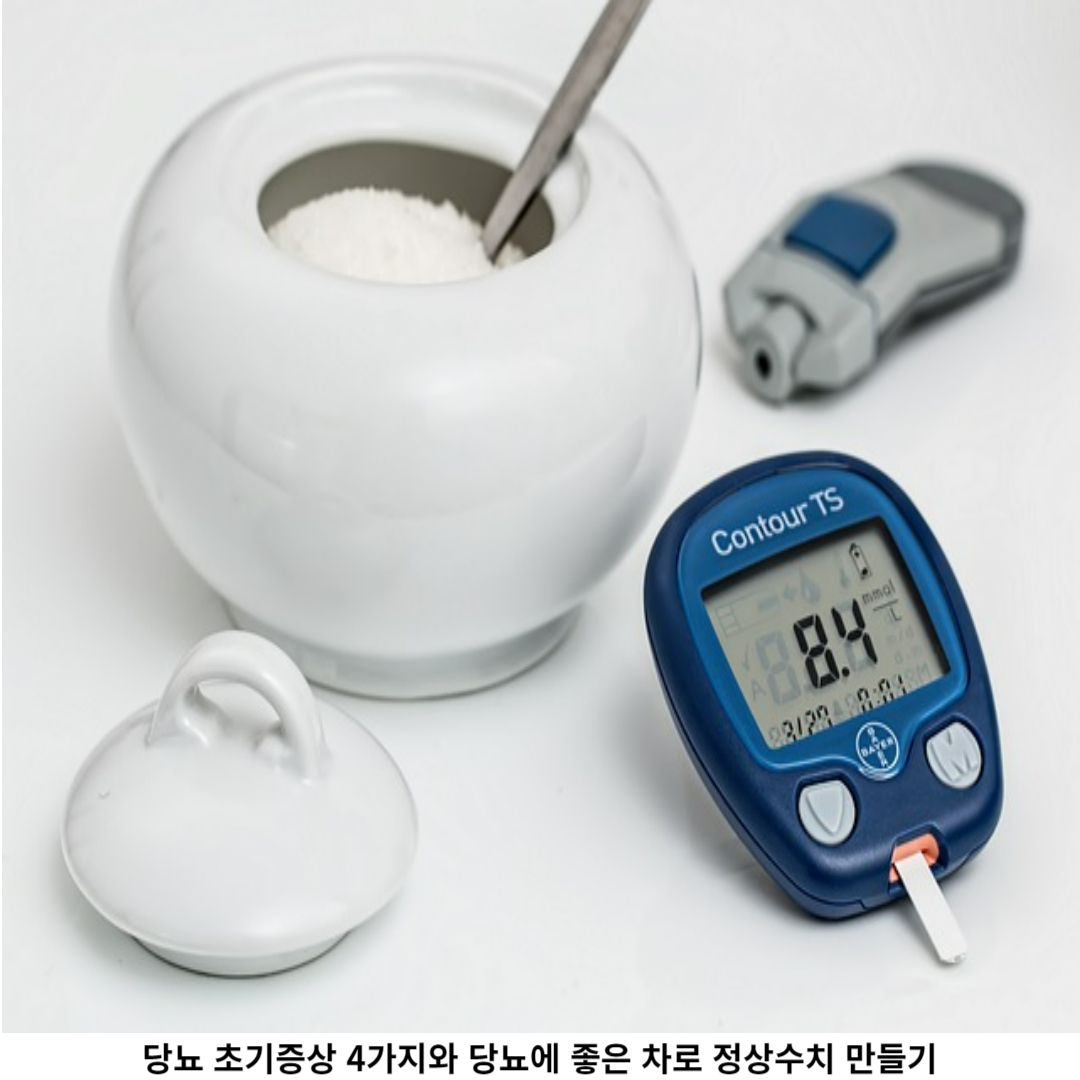 당뇨 초기증상 4가지