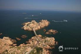 밤낮 꽃놀이 구경하기 좋은 울산과 인근 지역의 멋진 장소와 교통, 숙박, 음식 정보 제공