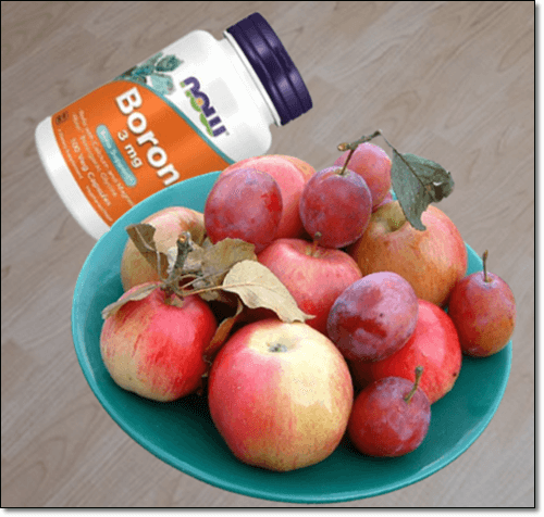 붕소 보충제와 사과 자두
