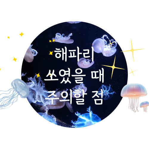 해파리경보