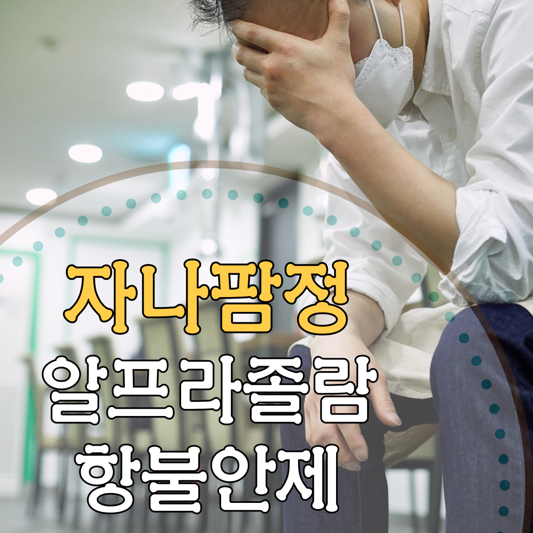 자나팜정 알프라졸람 항불안제