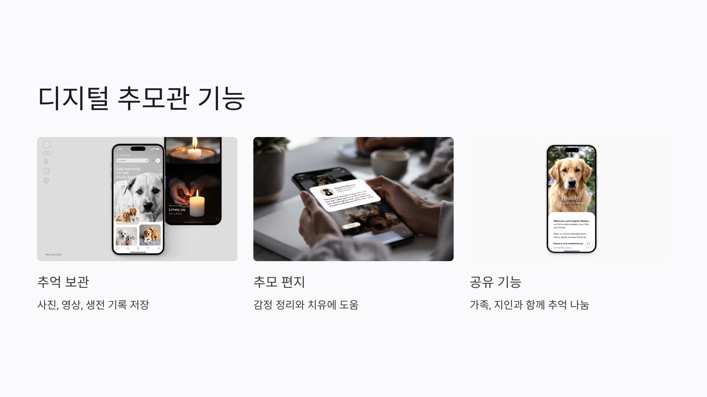 여행 중 반려동물 사망 시 대처법: 국내외 장례·반송 절차