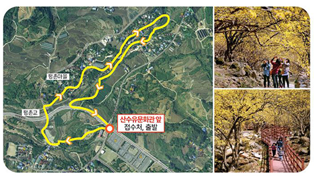 2025 구례 산수유축제 실시간 주차장