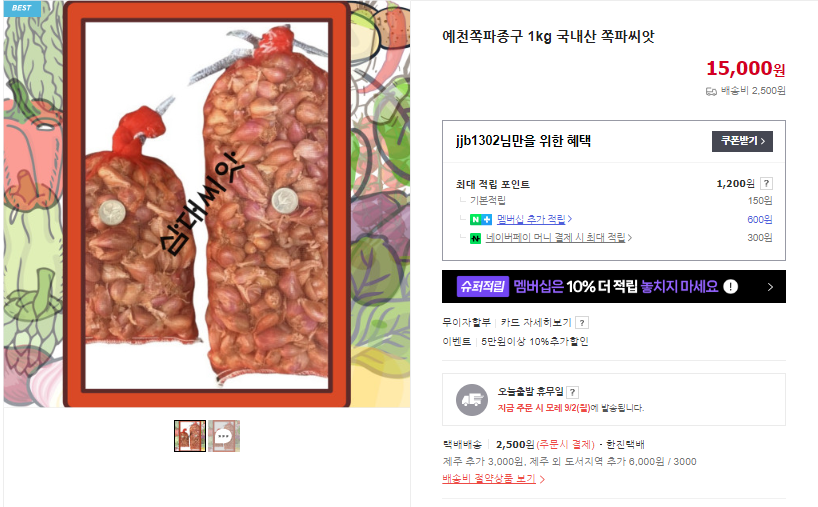 쪽파 심는 시기 및 쪽파 김치 맛있게 담그는 법 (+ 요리 쪽파 무침 종구 판매)