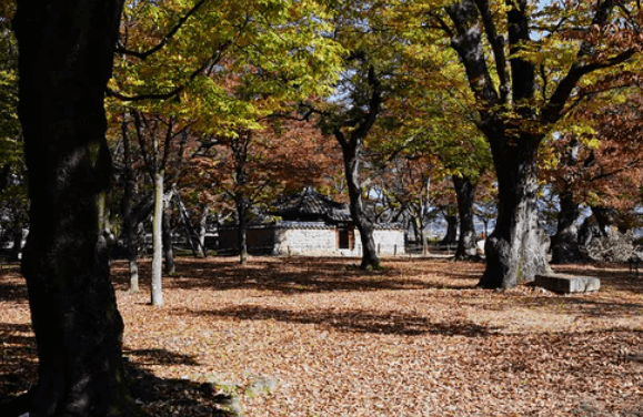 경주 가볼만한곳 ,초등학생과 박물관 역사관 경주월드 입장료