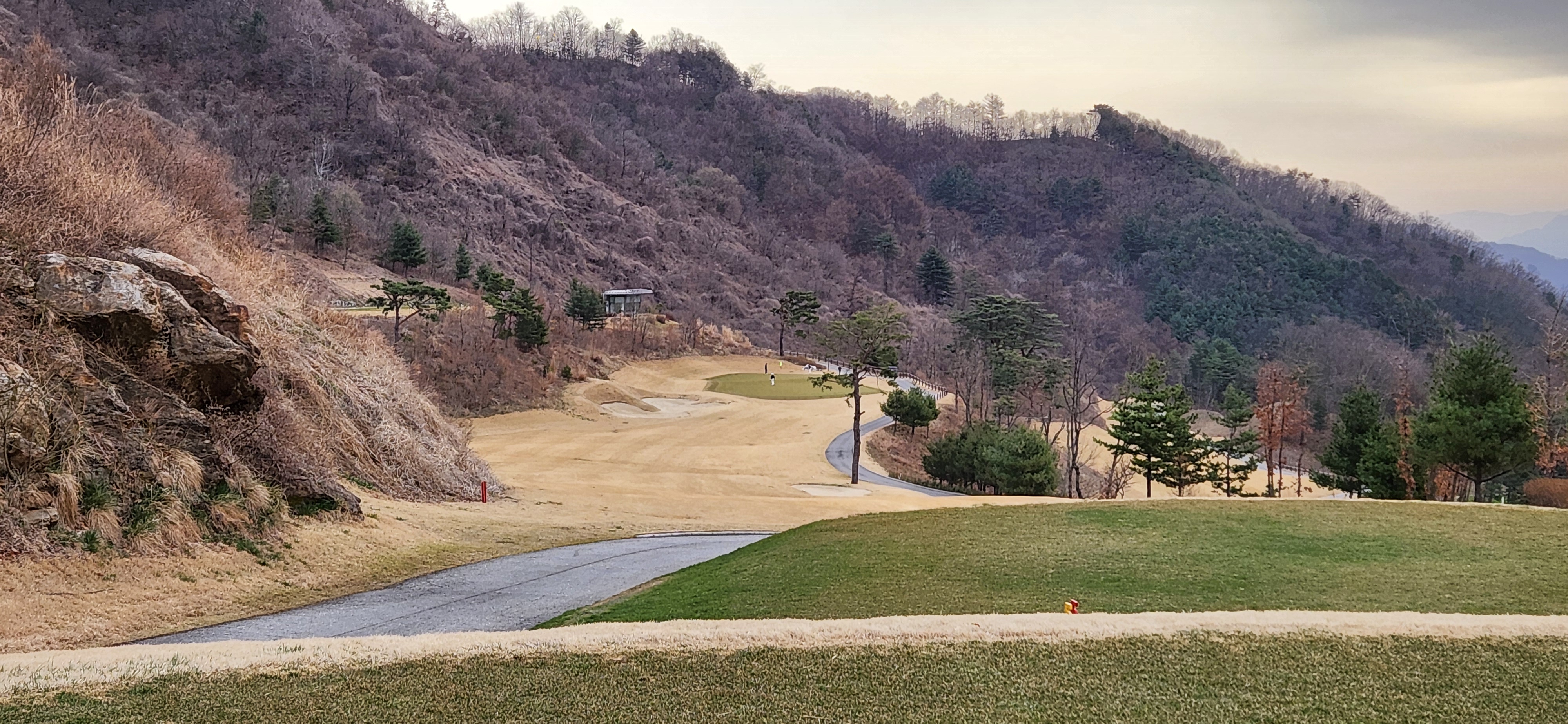 베뉴지cc
