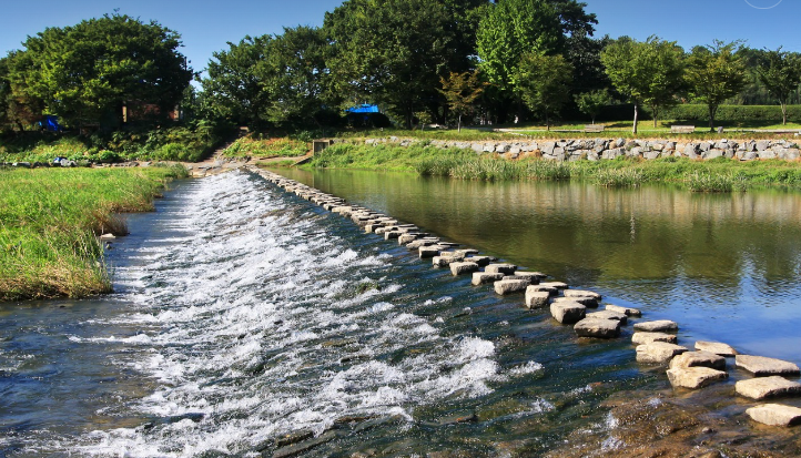 담양 죽녹원 돌다리 이미지