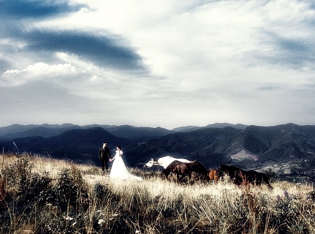 혼인신고 하는 법