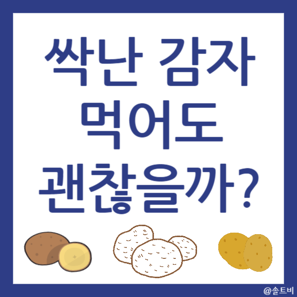 싹난 감자 먹기, 괜찮을까?