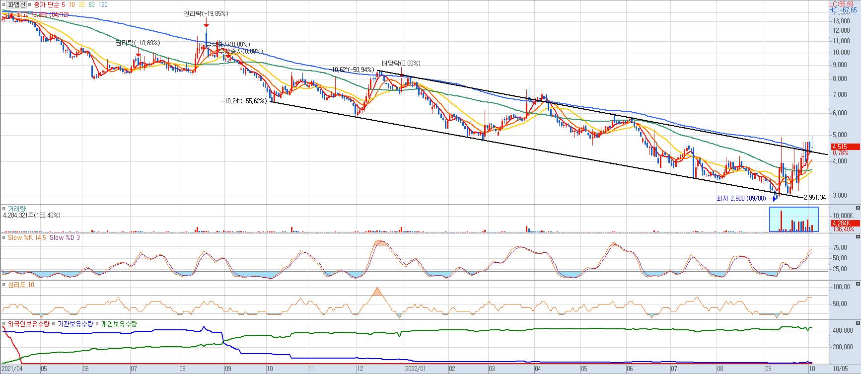 파멥신 일봉차트