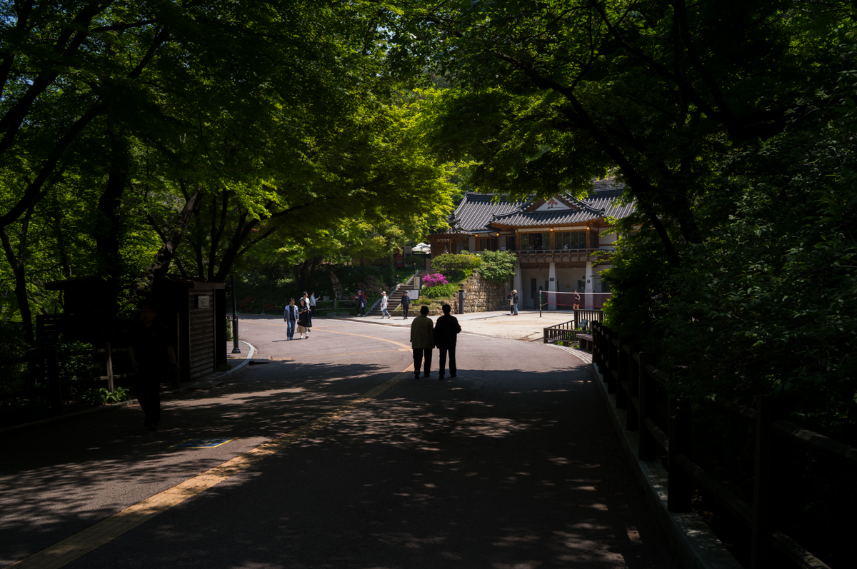 라이카 M11 남산 스냅