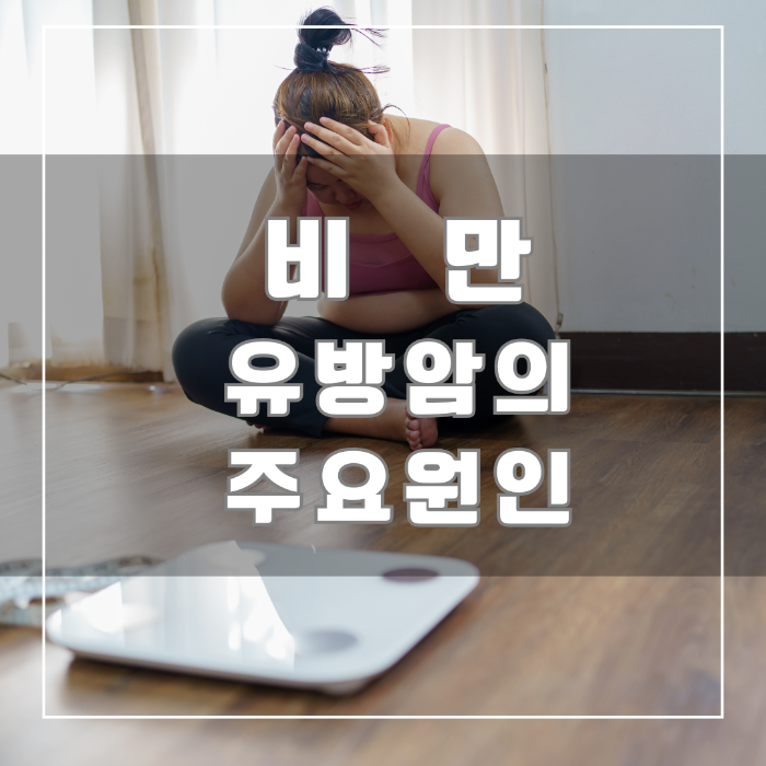 비만이 유방암의 주요 원인