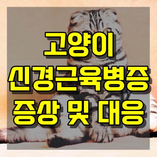 고양이 신경근육병증 증상 및 대응 긴급지침