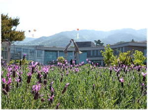 지리산허브밸리