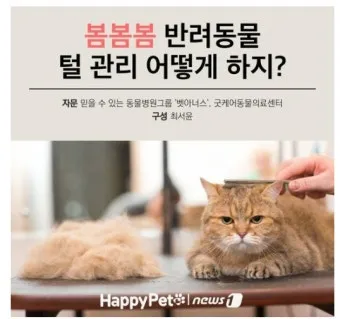 반려동물관리사 자격 교육커리큘럼 실습장비 취업처_11