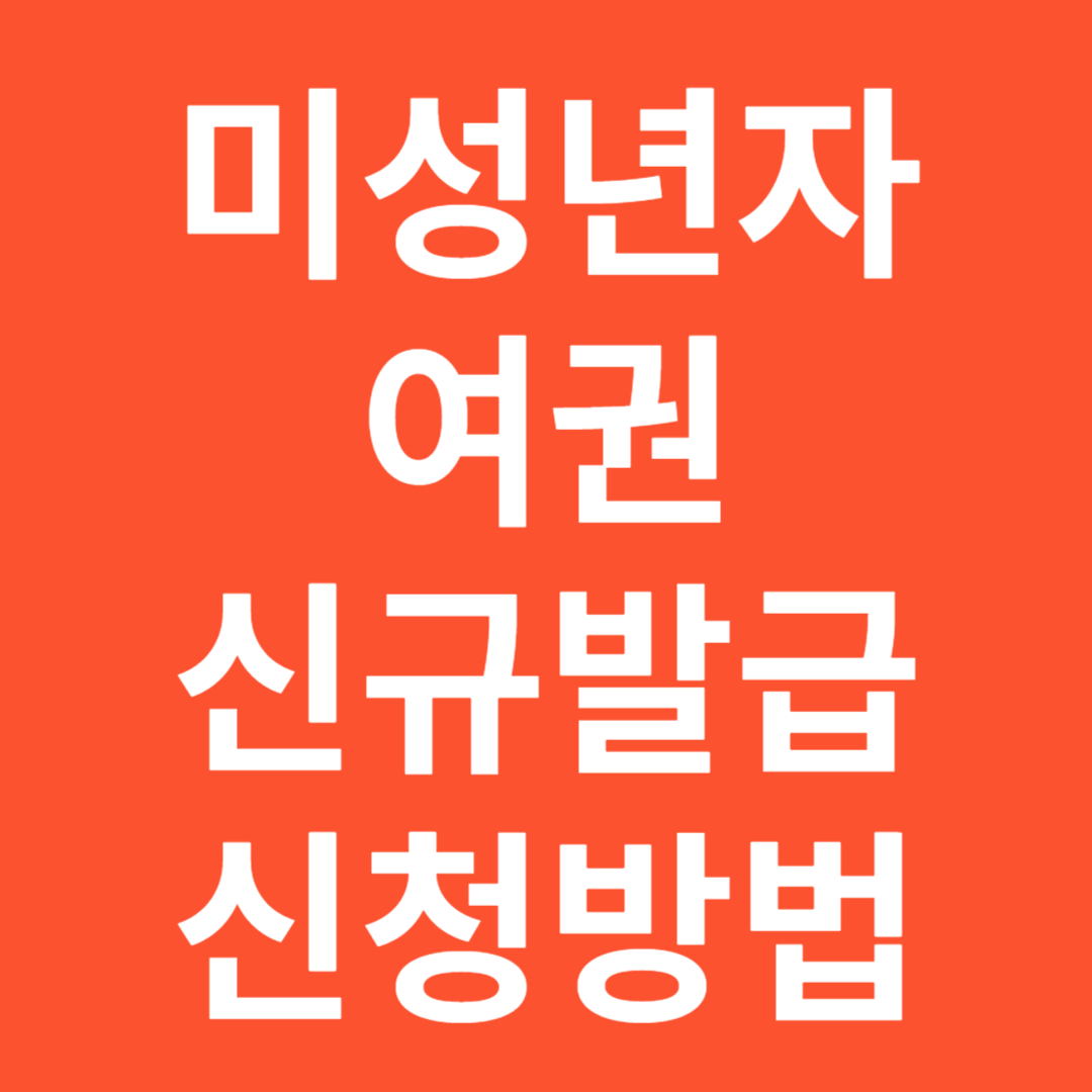 미성년자여권신규발급구비서류비용