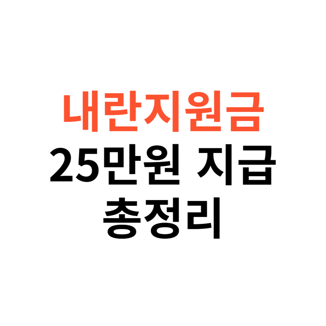 내란지원금 25만원 지급