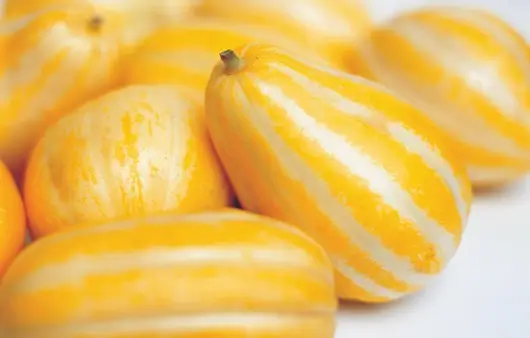 소서-음식-참외