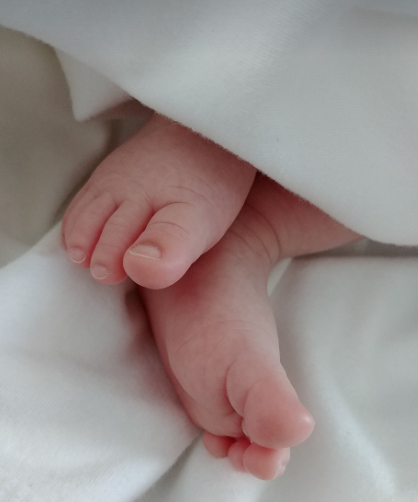 발의 혈 자리와 맨발 걷기의 상호 효과 비교