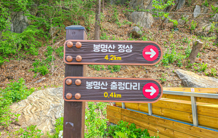 봉명산 출렁다리