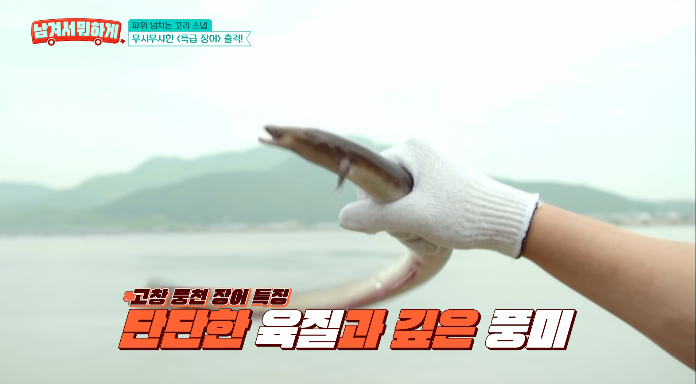 고창-풍천장어