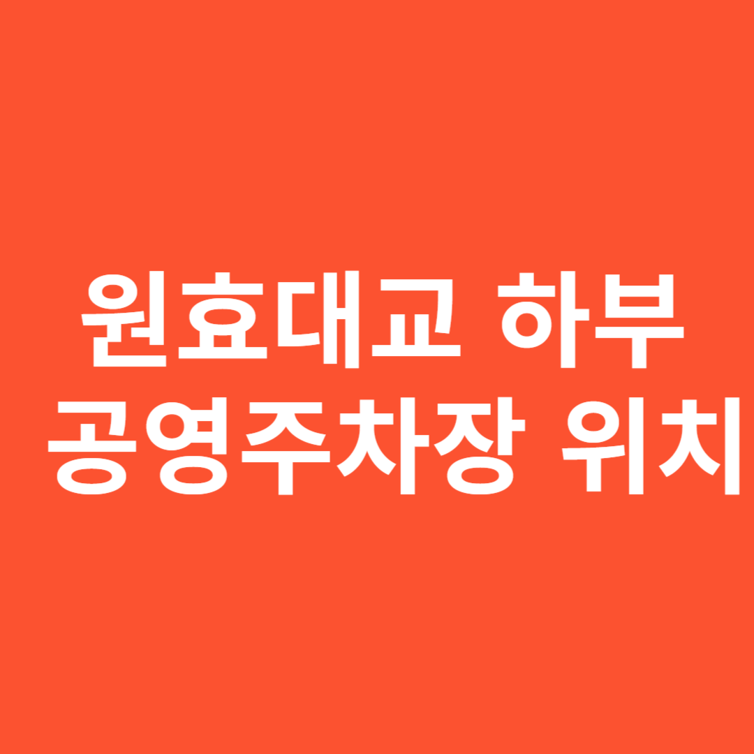 원효대교 하부 공영주차장 위치