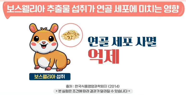 보스웰리아 효능